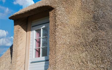 Trewalder thatch roof disadvantages